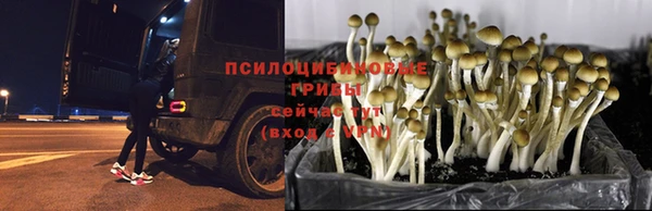 метадон Пересвет