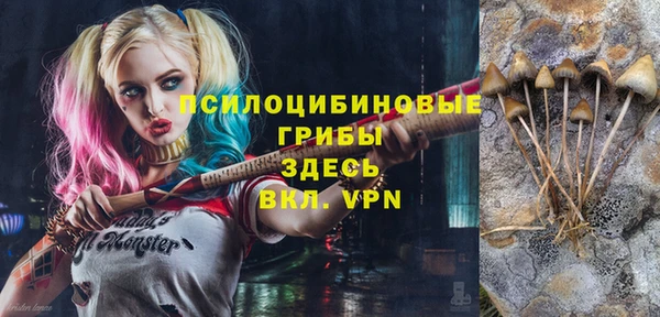 синтетический гашиш Осинники