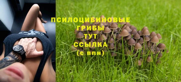 синтетический гашиш Осинники