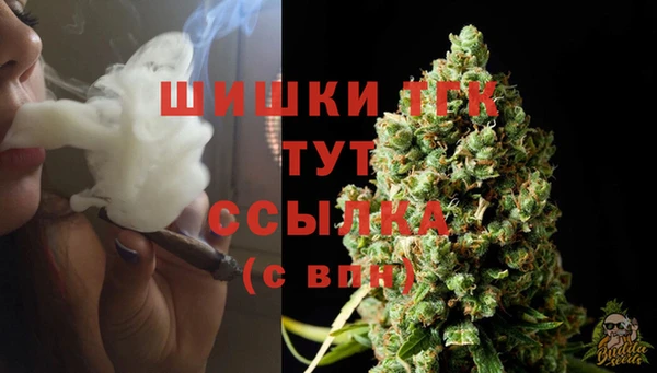 каннабис Осташков
