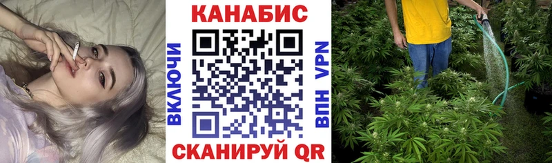 omg зеркало  Павловск  Марихуана тримм 